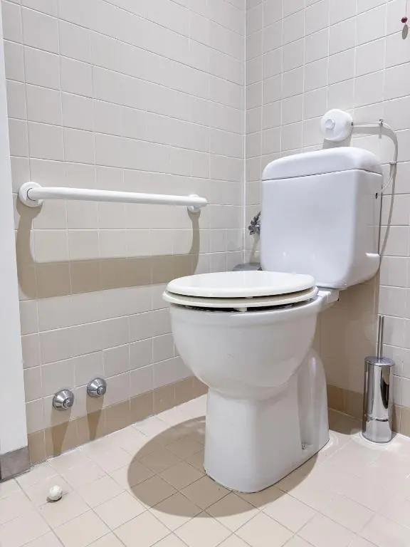 WC con maniglione di sostegno nel bagno accessibile della camera Economy